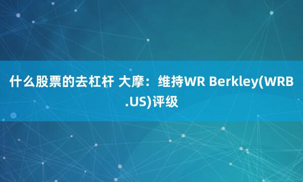 什么股票的去杠杆 大摩：维持WR Berkley(WRB.US)评级