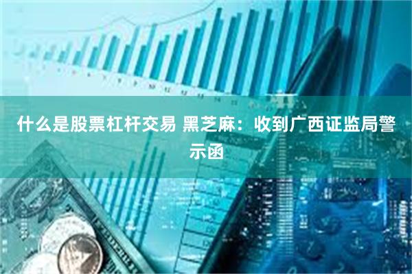 什么是股票杠杆交易 黑芝麻：收到广西证监局警示函