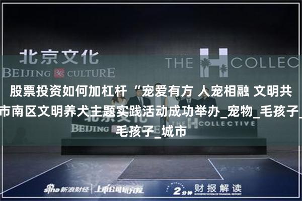 股票投资如何加杠杆 “宠爱有方 人宠相融 文明共享” 市南区文明养犬主题实践活动成功举办_宠物_毛孩子_城市