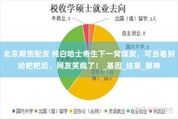 北京期货配资 纯白哈士奇生下一窝煤炭，可当看到哈粑粑后，网友笑疯了！_基因_结果_眼神