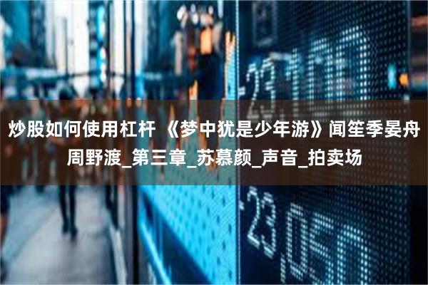 炒股如何使用杠杆 《梦中犹是少年游》闻笙季晏舟周野渡_第三章_苏慕颜_声音_拍卖场