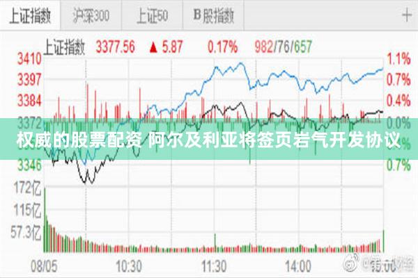 权威的股票配资 阿尔及利亚将签页岩气开发协议